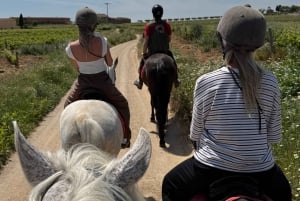 Ibiza: Escursione a cavallo nella natura + Picnic + Trasporto