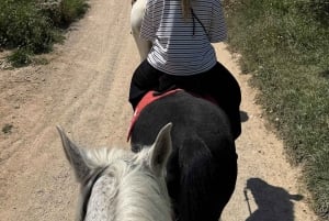 Ibiza: Escursione a cavallo nella natura + Picnic + Trasporto