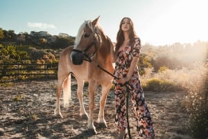 Ibiza: Escursione a cavallo nella natura + Picnic + Trasporto