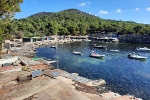 Ibiza Island Tour: Es Vedra, saltørken og hippiemarked