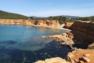 Ibiza Island Tour: Es Vedra, saltørken og hippiemarked