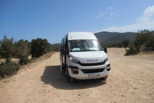 Ibiza Island Tour: Es Vedra, saltørken og hippiemarked