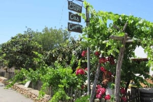 Ibiza Island Tour: Es Vedra, saltørken og hippiemarked