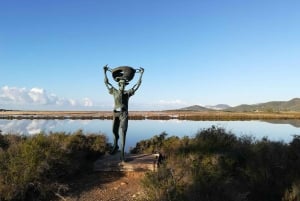 Ibiza Island Tour: Es Vedra, saltørken og hippiemarked
