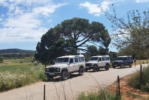Ibiza: Eksploracja wyspy Jeep Safari