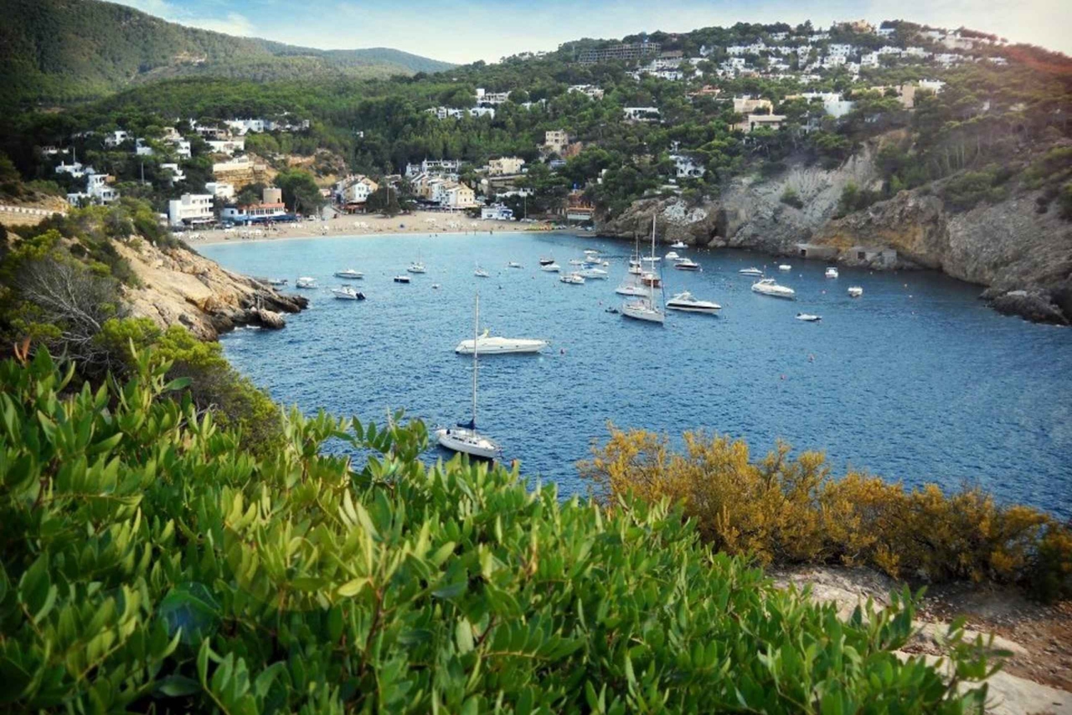 Ibiza: Land & Zee Avontuur met BUGGY + PADDLE SURF