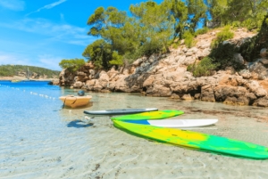 Ibiza: Land & Zee Avontuur met BUGGY + PADDLE SURF