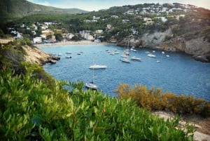 Ibiza: Land & havsäventyr med BUGGY + PADDLE SURF