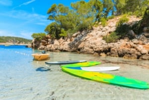 Ibiza: Land & havsäventyr med BUGGY + PADDLE SURF