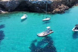 Ibiza North Coast: SpeedBoat to Portitxol + Snorkel & Paddle