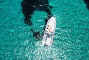 Ibiza North Coast: SpeedBoat to Portitxol + Snorkel & Paddle