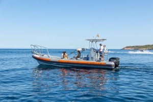 Ibiza North Coast: SpeedBoat to Portitxol + Snorkel & Paddle