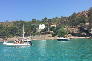 Ibiza: 'north of the island' tour from the sea in private boat