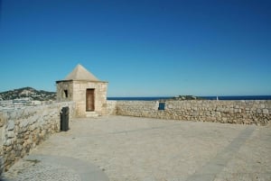 IBIZA NOCHE traslado al puerto de Ibiza con tiempo libre