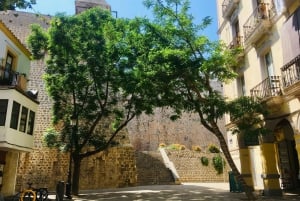 Ibiza: Guidet fottur i gamlebyen