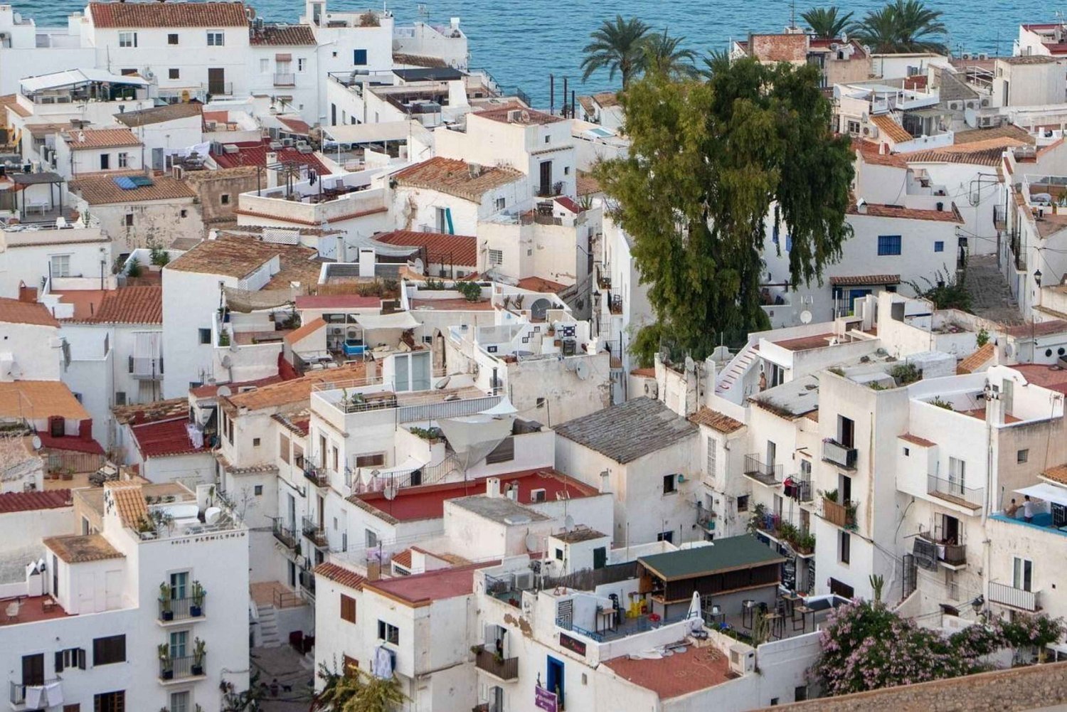 Ibiza oude stad privé wandeling met gids