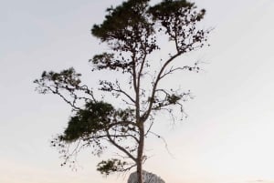 Ibiza: Fotoshoot bij Es Vedrá panoramisch uitkijkpunt & zonsondergang