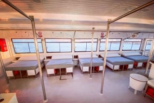Ibiza: VIP Catamaran Party with DJ, Open Bar, Paella, and Nightclubs
