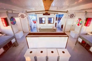 Ibiza: VIP Catamaran Party with DJ, Open Bar, Paella, and Nightclubs