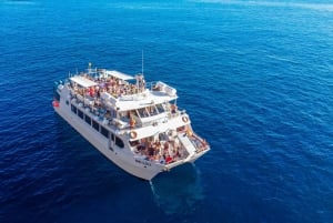 Ibiza: VIP Catamaran Party with DJ, Open Bar, Paella, and Nightclubs