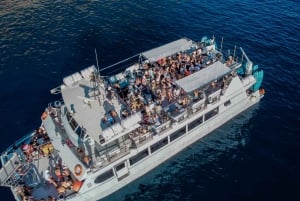 Ibiza: VIP Catamaran Party with DJ, Open Bar, Paella, and Nightclubs