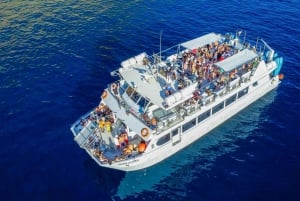 Ibiza: VIP Catamaran Party with DJ, Open Bar, Paella, and Nightclubs