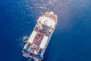 Ibiza: VIP Catamaran Party with DJ, Open Bar, Paella, and Nightclubs