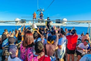 Ibiza: VIP Catamaran Party with DJ, Open Bar, Paella, and Nightclubs