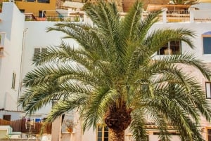 Ibiza private geführte Stadtführung