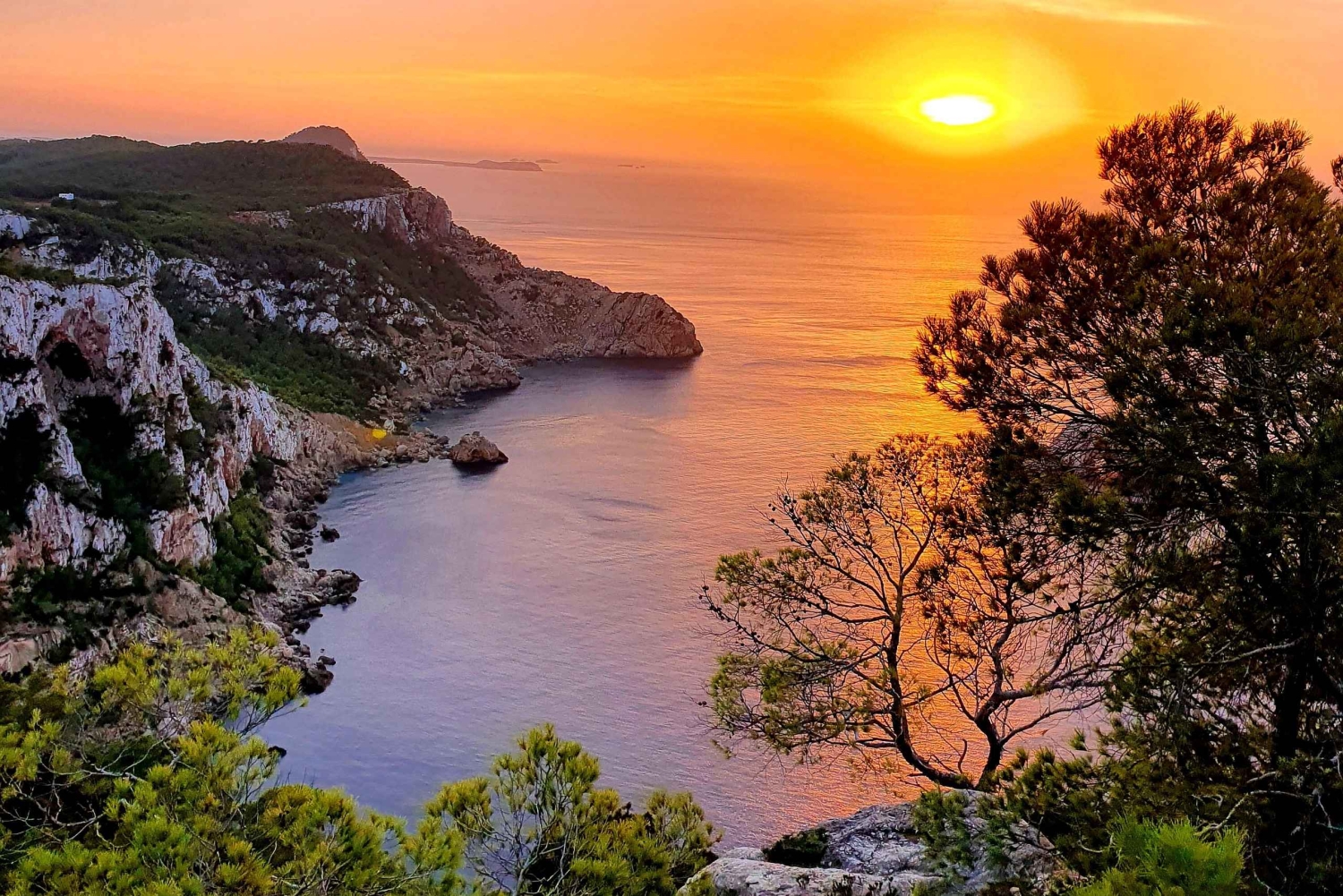 Ibiza: Privétour met lokale gids