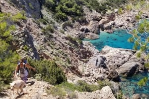 Ibiza: Private Wanderung mit ortskundigem Guide
