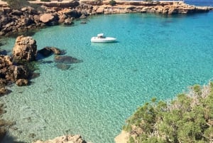 Ibiza: Private Wanderung mit ortskundigem Guide
