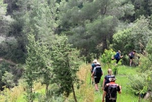 Ibiza: Private Wanderung mit ortskundigem Guide