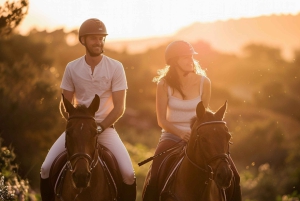 Ibiza : aventure équestre privée pour tous les niveaux