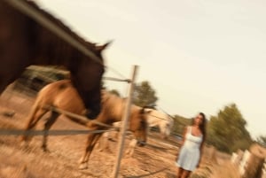 إيبيزا: تجربة ركوب الخيل الخاصة في الطبيعة مع خدمة الاستقبال