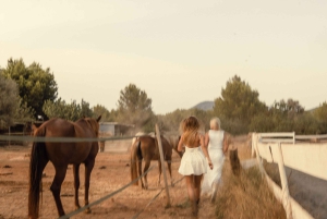 إيبيزا: تجربة ركوب الخيل الخاصة في الطبيعة مع خدمة الاستقبال