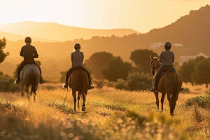 Ibiza: Privé paardrijden in de natuur + vervoer
