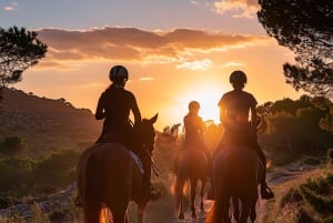 Ibiza: Privé paardrijden in de natuur + vervoer