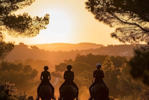 Ibiza: Privé paardrijden in de natuur + vervoer