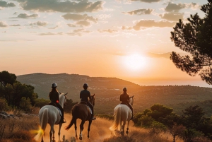 Ibiza: Privé paardrijden in de natuur + vervoer