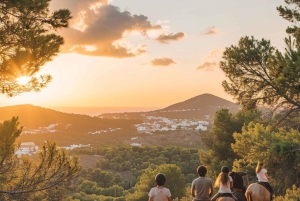 Ibiza: Privé paardrijden in de natuur + vervoer