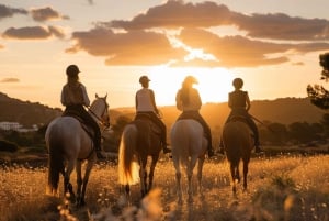 Ibiza: Privé paardrijden in de natuur + vervoer