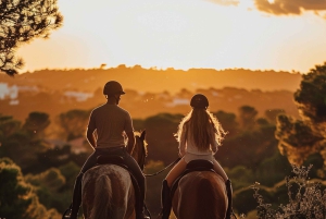 Ibiza: Privé paardrijden in de natuur + vervoer