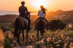 Ibiza: Privé paardrijden in de natuur + vervoer