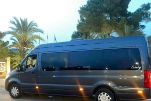 Ibiza: Tour privato con autista in furgone di lusso Mercedes