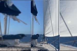 Ibiza: Relaxing Day Sail with Swim Stop & Drinks
