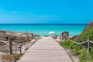 Ibiza: Retur med ferge til Formentera med en velkomstdrink