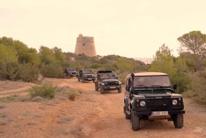 イビサ島サファリ（プライベート）– 隠れたビーチ、洞窟、シュノーケリング