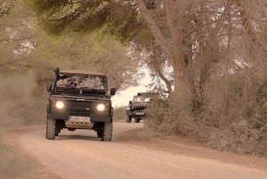 イビサ島サファリ（プライベート）– 隠れたビーチ、洞窟、シュノーケリング