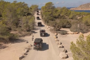 イビサ島サファリ（プライベート）– 隠れたビーチ、洞窟、シュノーケリング